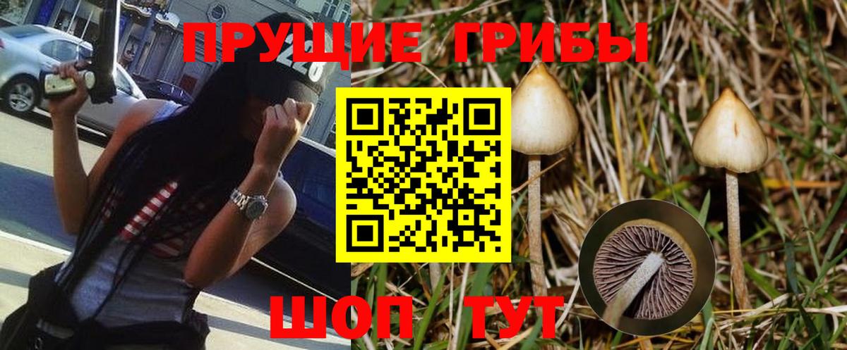 Галлюциногенные грибы мухоморы Выборг