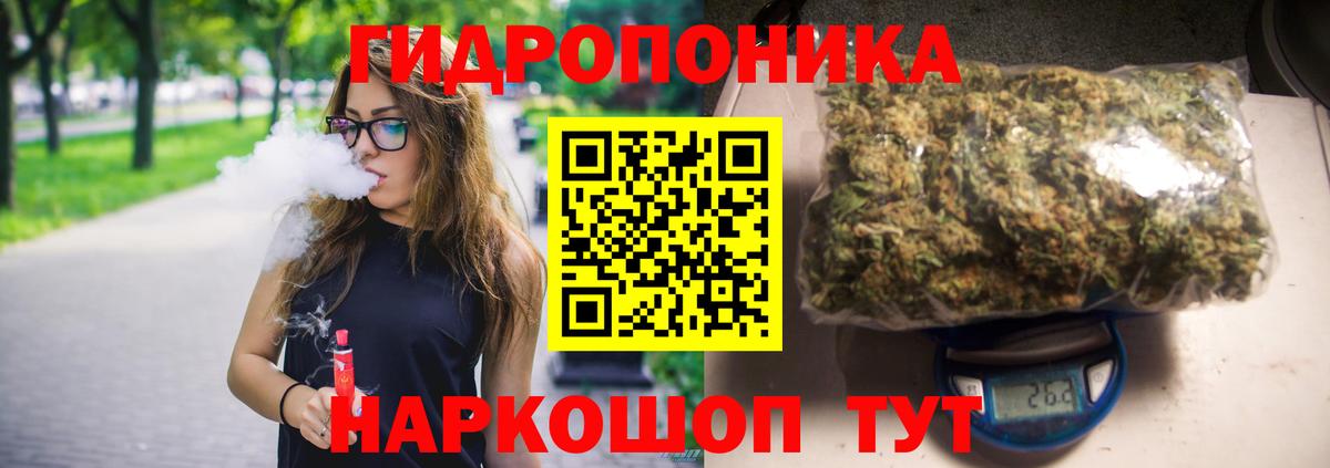 Бошки марихуана марихуана Выборг